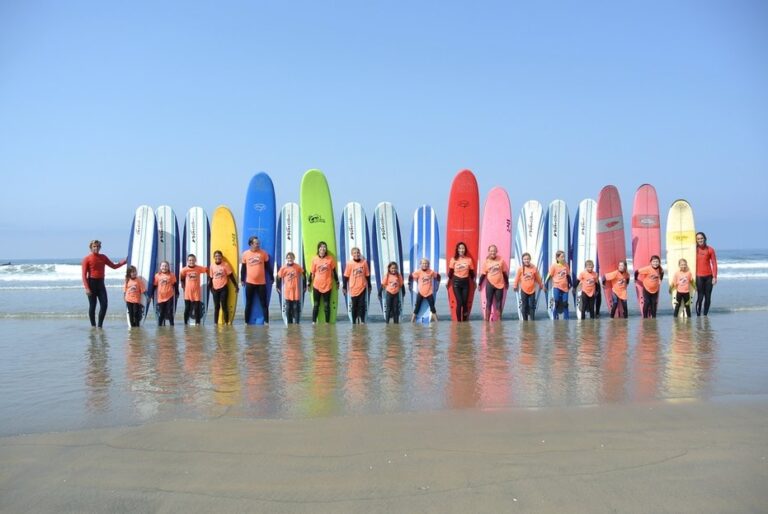 Endless Summer Surf Camp Boards