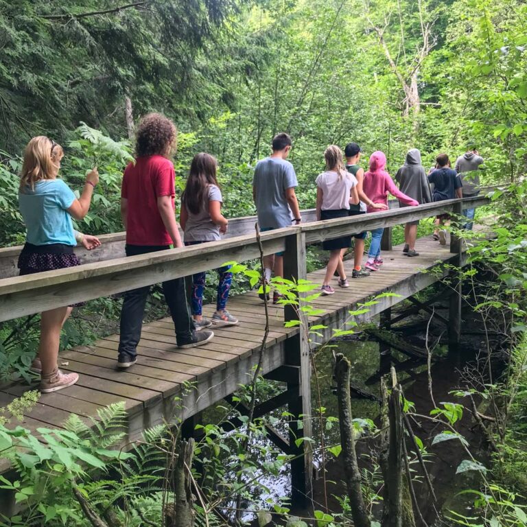 Campers on a hike