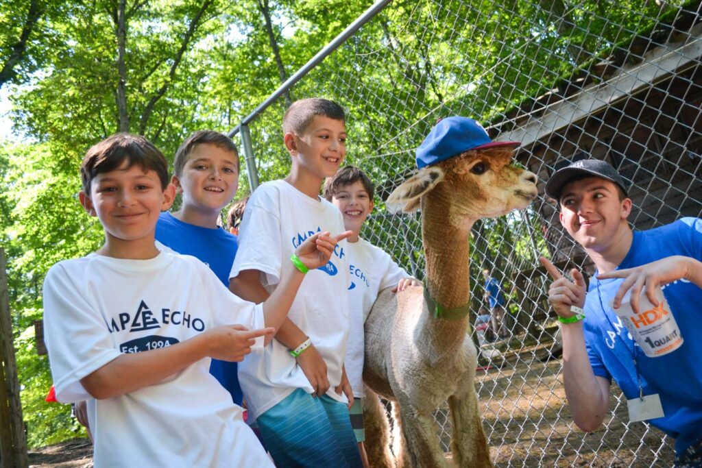 Boys near alpaca