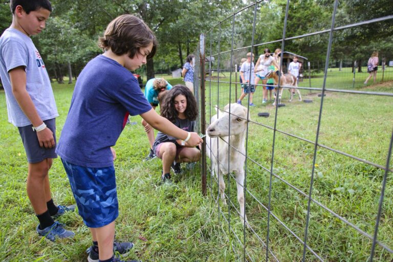 Camper feeding an animal