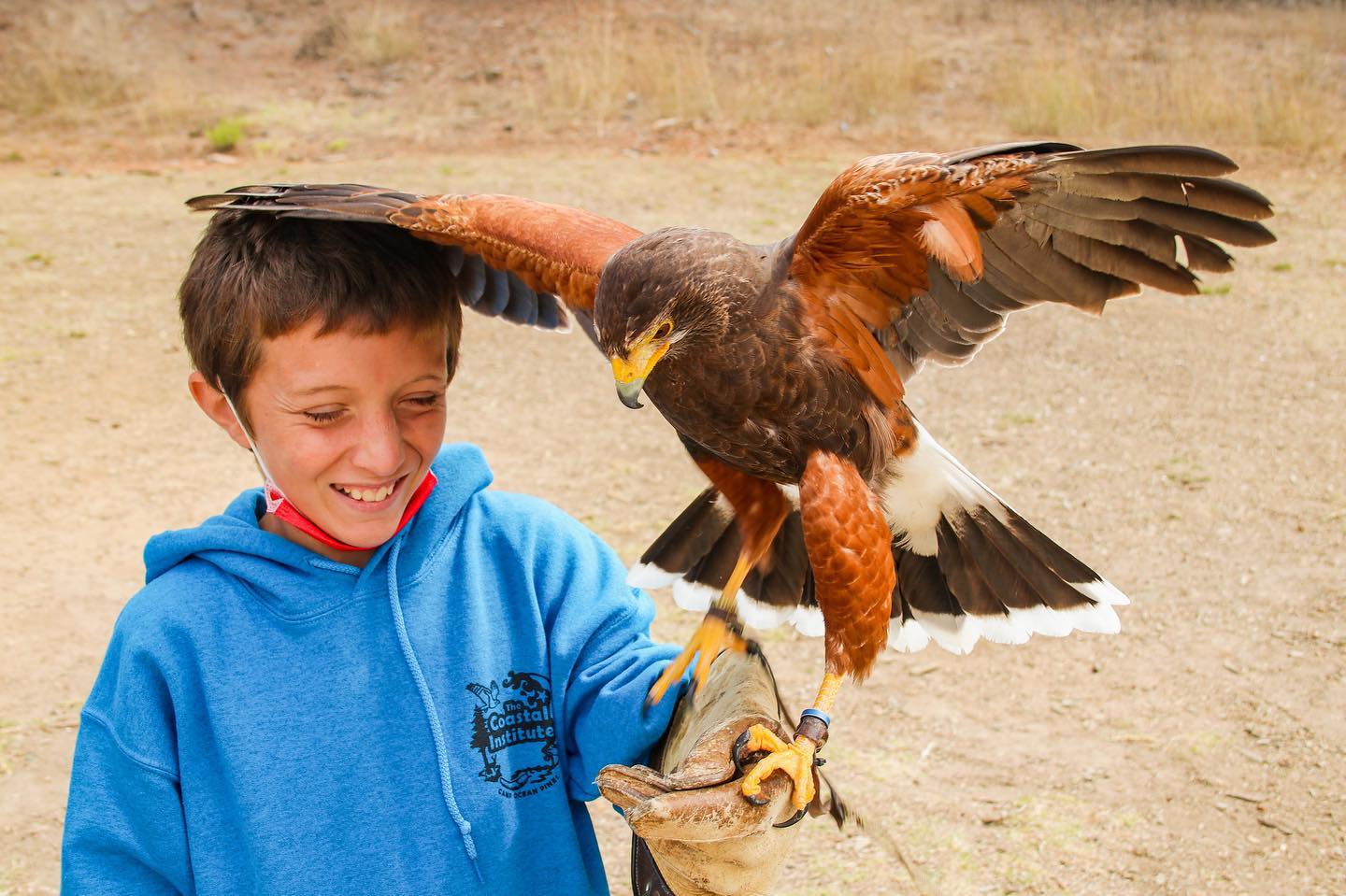 Boy holding a falcon