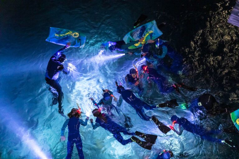 Campers enjoying night snorkeling