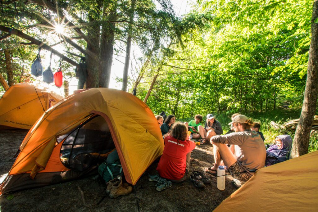 Campsite setup in forest