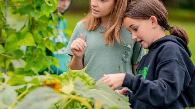Campers looking at plants