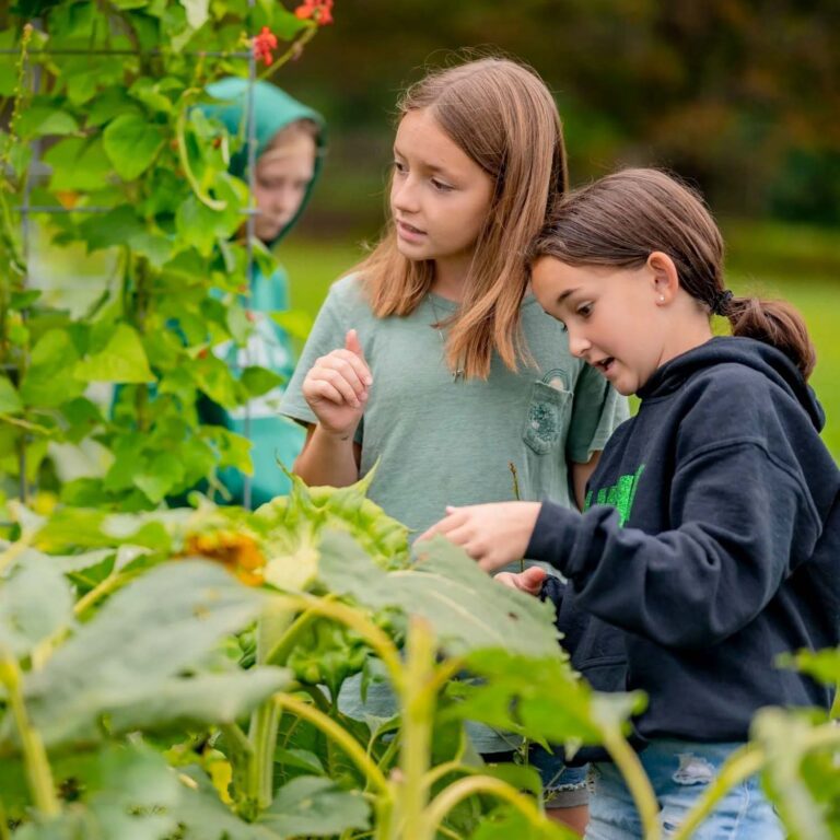 Campers looking at plants