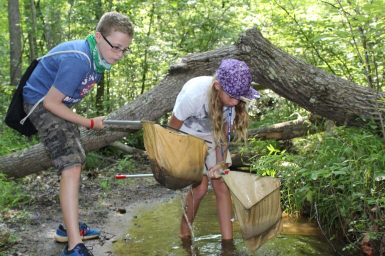 Boys exploring a creek