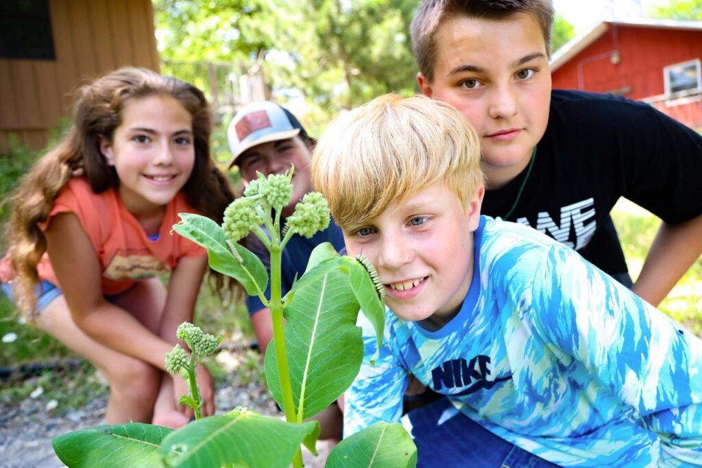 Campers looking at plants