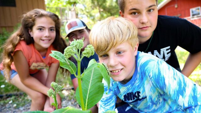 Campers looking at plants