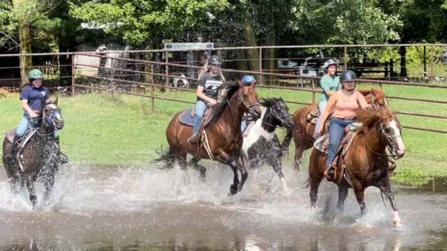 Girls riding horses through creek