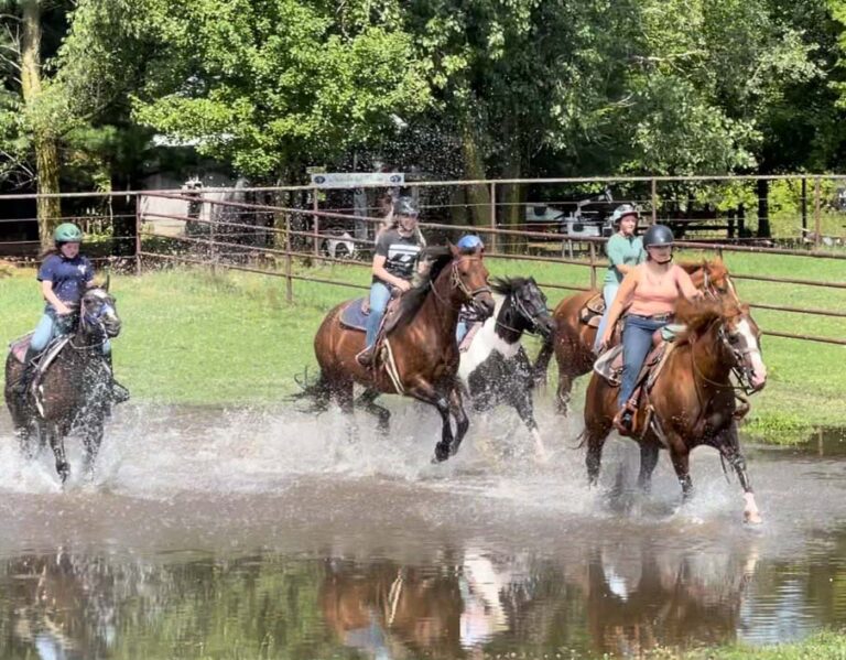 Girls riding horses through creek