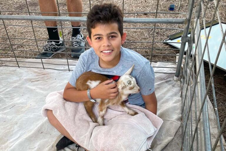 Boy holding baby goat