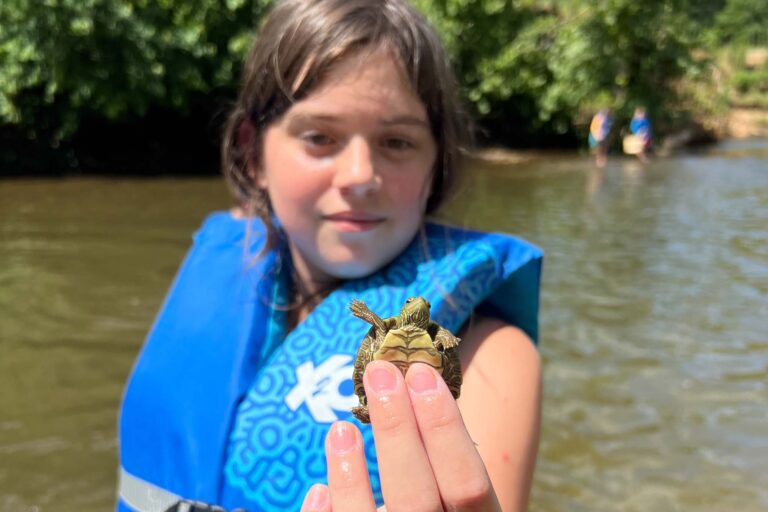 Girl holding tiny turtle