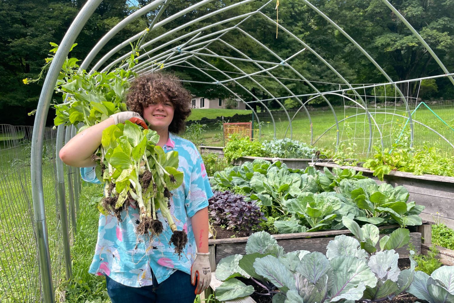 Boy gardening
