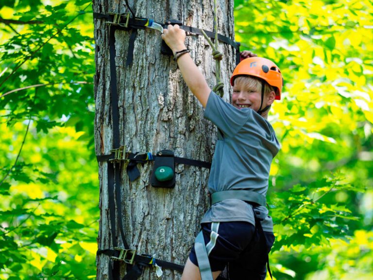 Boy climbing tree