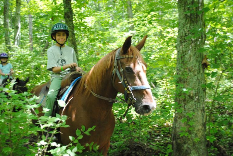 Boy riding horse in forest