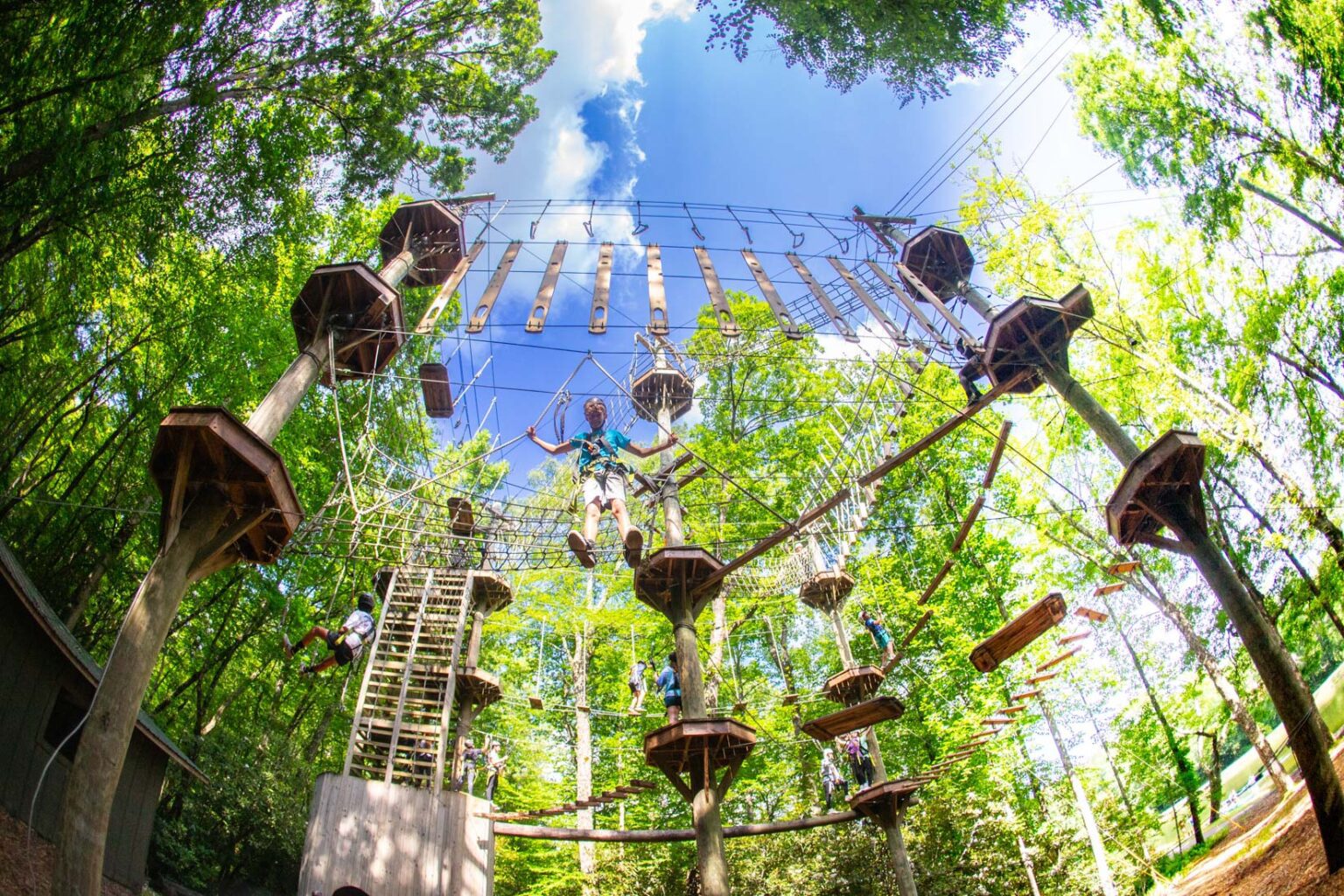 Campers on high ropes course