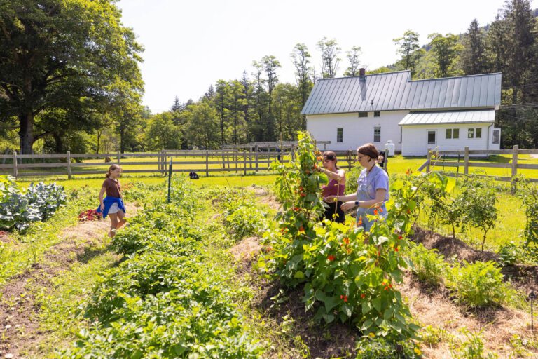 Campers gardening