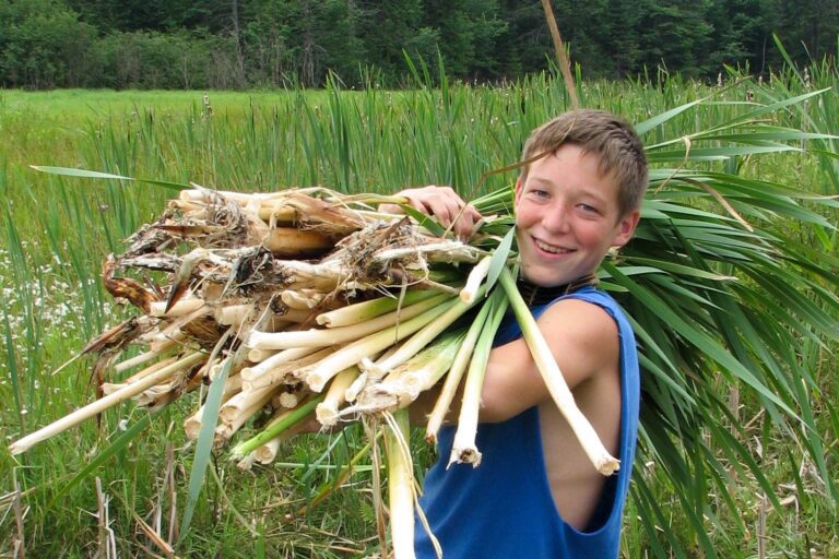 Boy carrying sticks