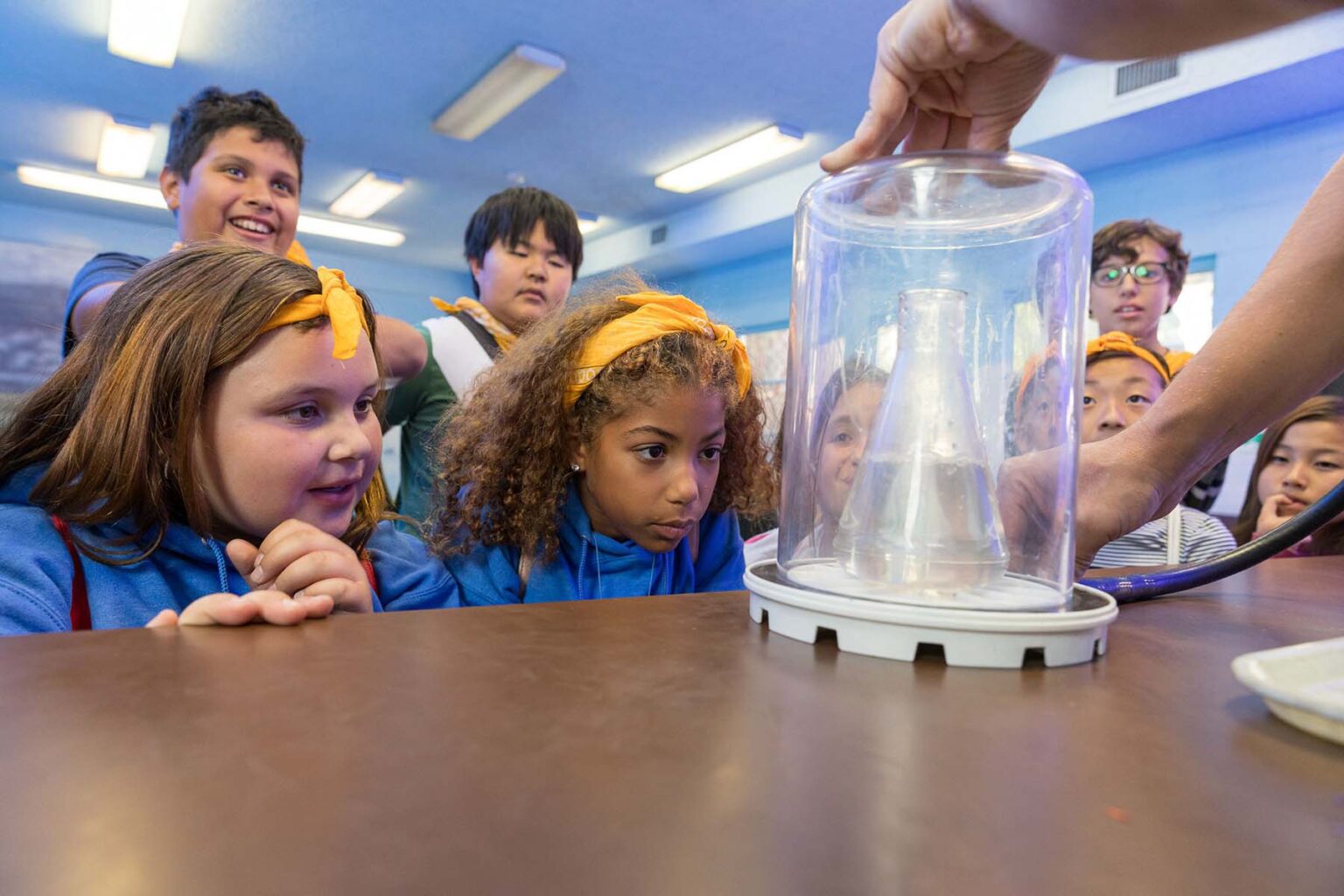 STEM activity